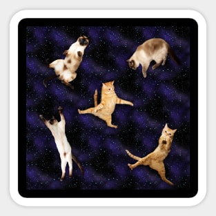 SPACE CATS Sticker